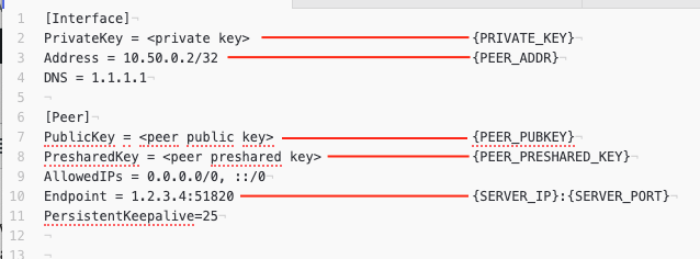 wireguard config file placeholder mapping